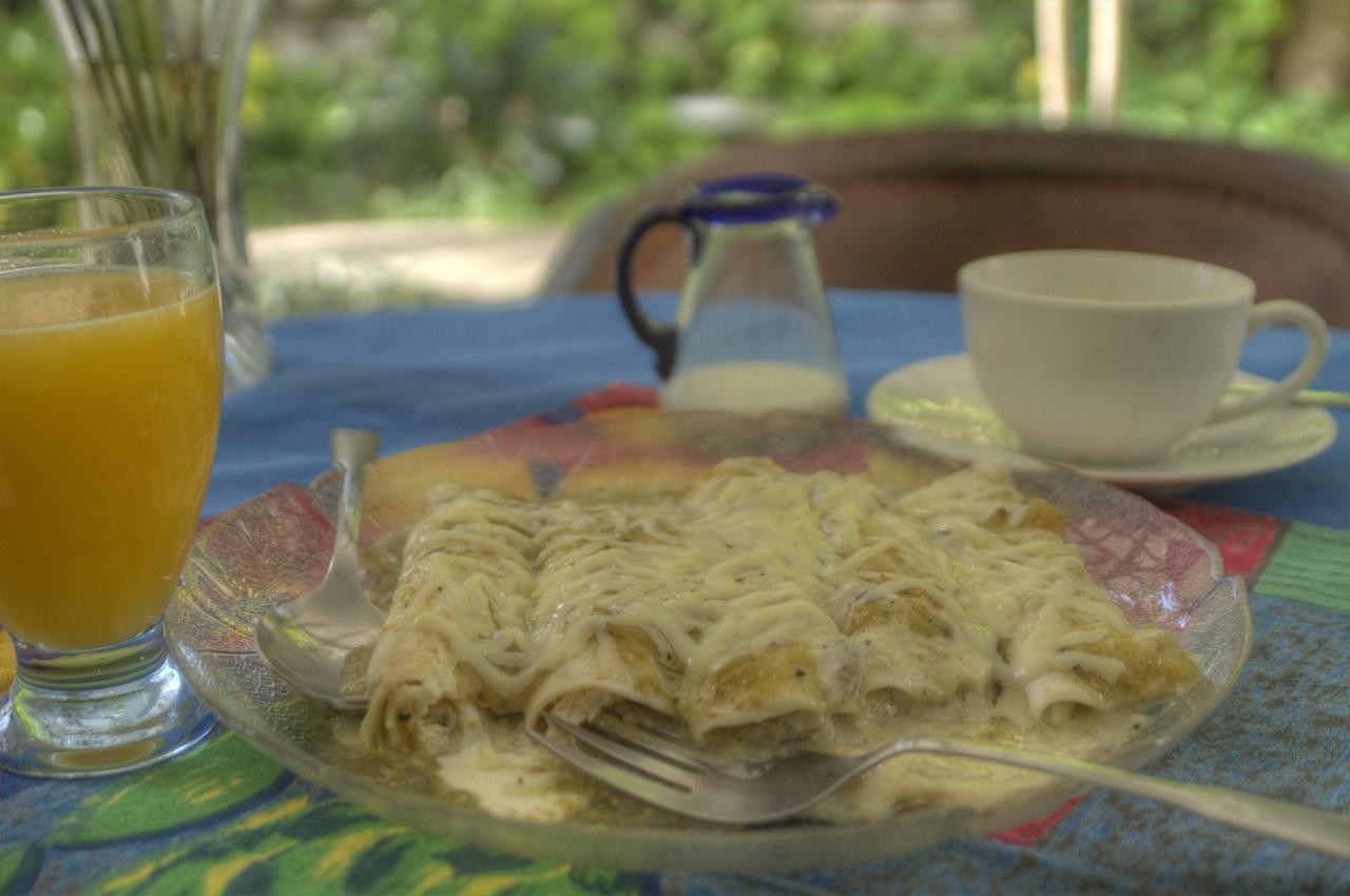 Villa Escondida Guest House Cozumel Downtown エクステリア 写真