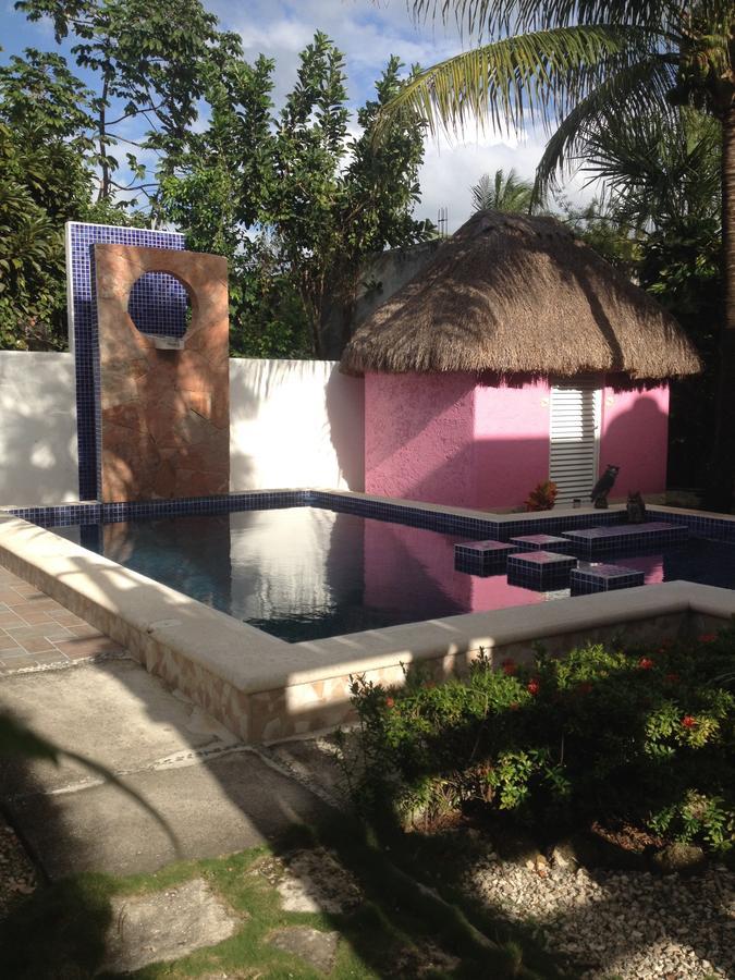 Villa Escondida Guest House Cozumel Downtown エクステリア 写真